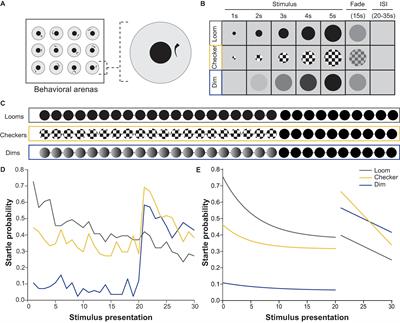 Contributions of Luminance and Motion to Visual Escape and Habituation in Larval Zebrafish